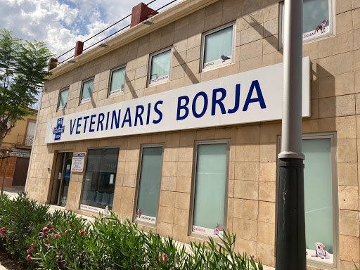 Veterinaris Borja (Urgencias 24H 617324983)en Torrente
